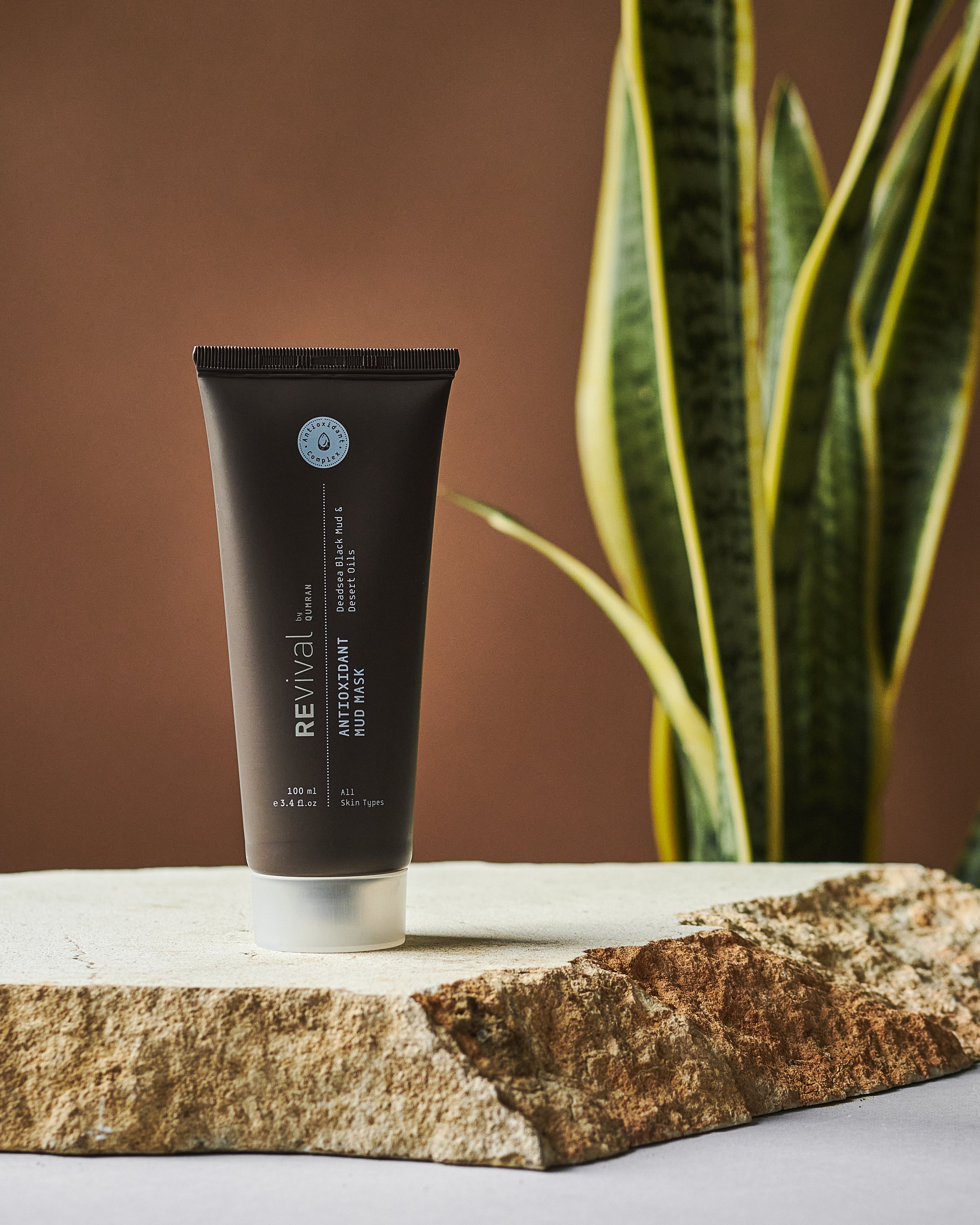 Antioxidant Mud Mask